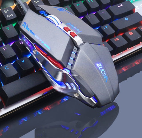 Computer Accessories